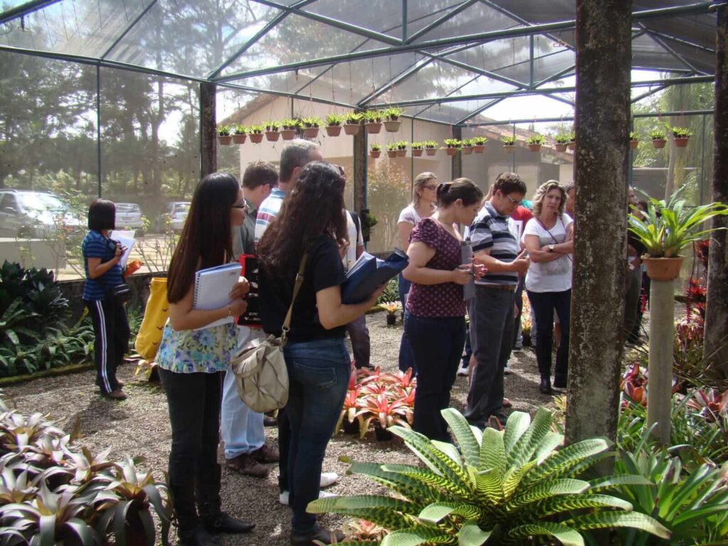 CEAP foto alunos na estufa