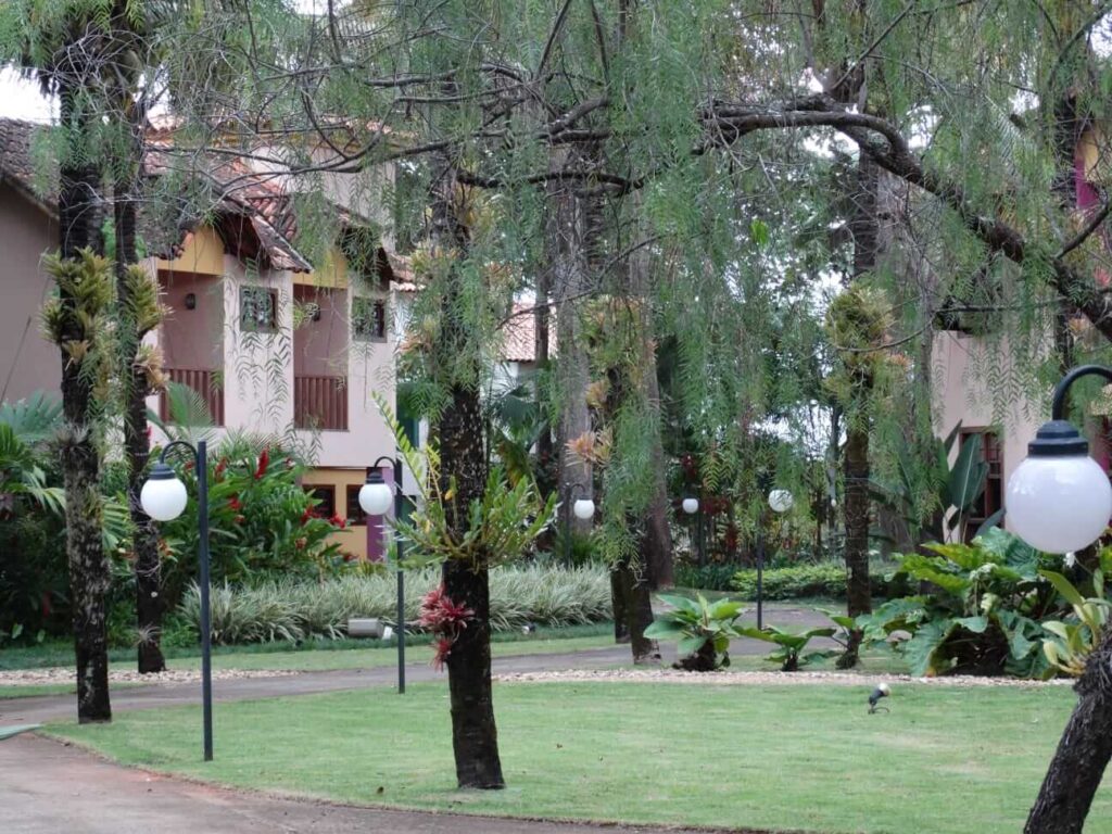 CEAP foto casa entre arvores