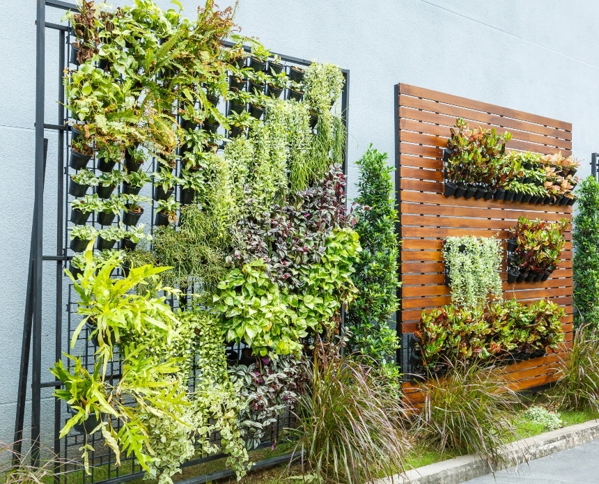 jardim vertical uma maneira de ter a natureza dentro de casa afe