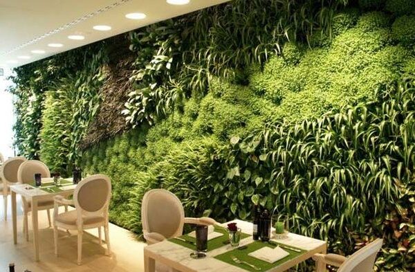 jardim indoor no INAP