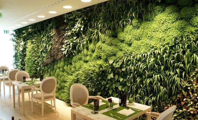 jardim vertical elegante 650x393 1