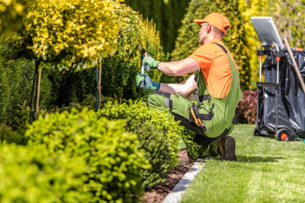 JARDINS FUNCIONAIS