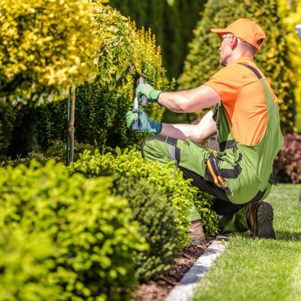 JARDINS FUNCIONAIS